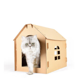 SE PB050 CAT CARDONON HOUSE (3)