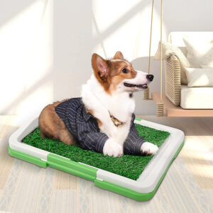 SE-PG056 Dog Potty Training Tray 1