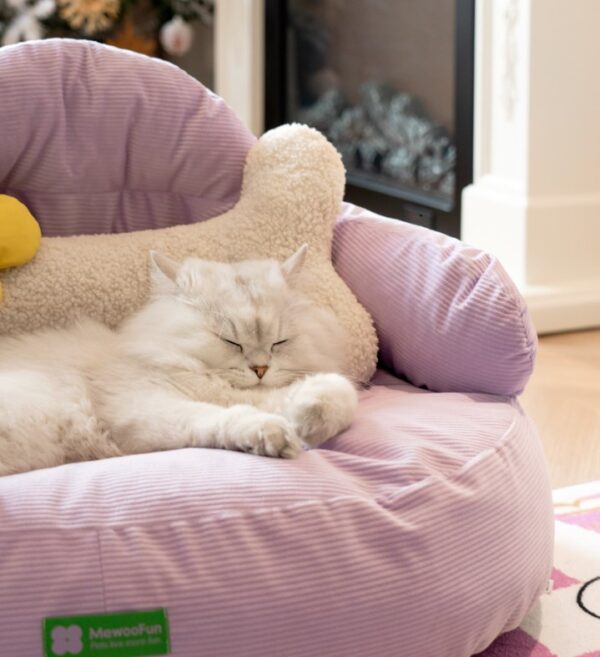 SE PB153 Cat Sofa (4)