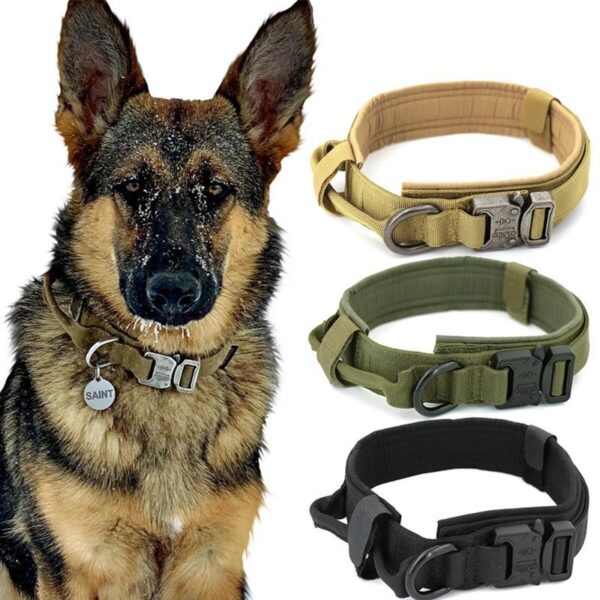 SE-PC025 Tactical Dog Collar 5