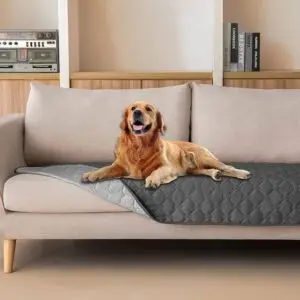 Dog Bed Cover(1)