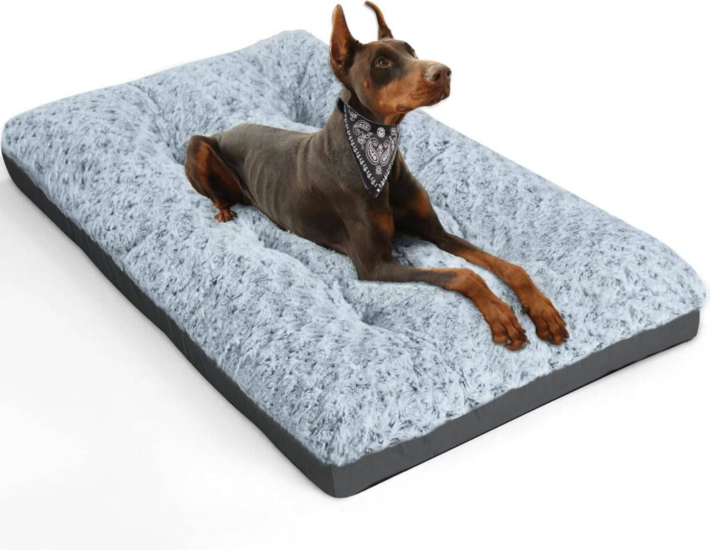 dog bed