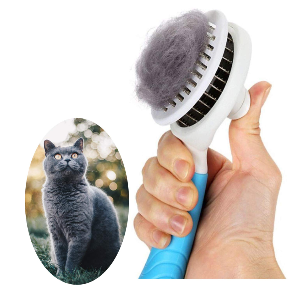 pet brush